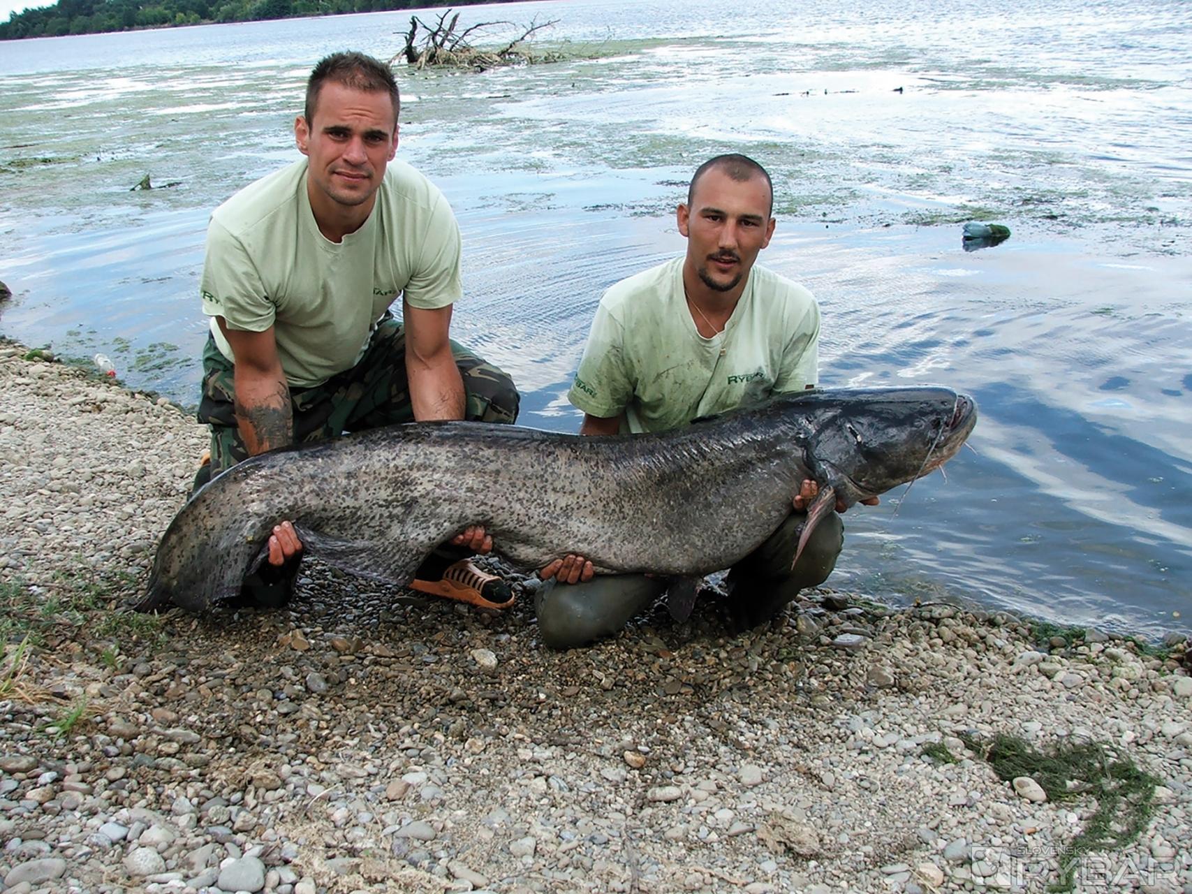 Jedna z posledných rýb pred vypúšťaním Sĺňavy v roku 2007. Spolu s Emilom Bučkom sme toho pri love týchto nádherných rýb zažili skutočne veľa.