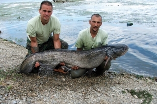 Jedna z posledných rýb pred vypúšťaním Sĺňavy v roku 2007. Spolu s Emilom Bučkom sme toho pri love týchto nádherných rýb zažili skutočne veľa.
