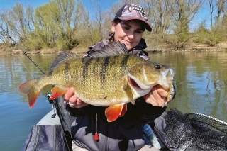 Prvý deň na úplne neznámom jazere 
a hneď takýto kapitálny 49 cm ostriež.