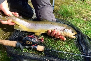 Prút Smith be sticky trout a Daiwa T3 air.