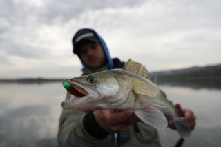 3-gramová hlavička 
a ripper s dĺžkou 10 cm.