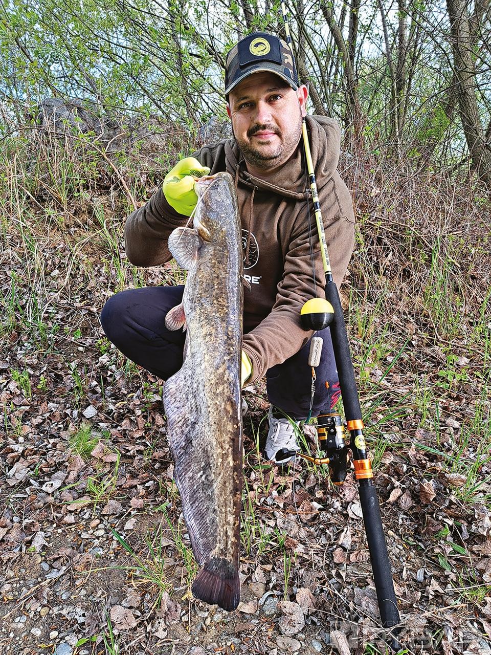 Prvý tohtoročný úlovok. Každý prvý
sumec v roku vždy najviac poteší.