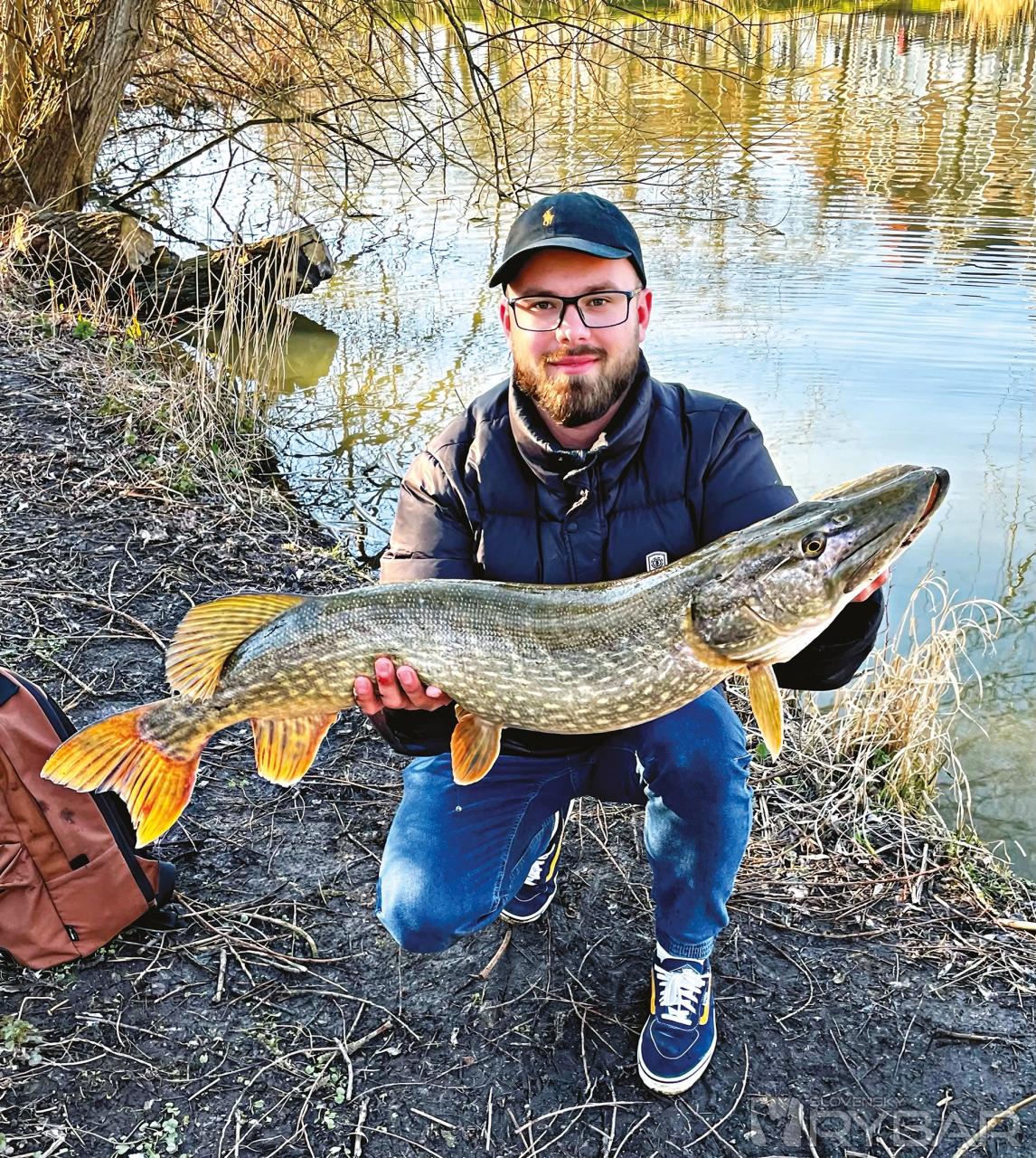 „Big Mama“ z Holandska, ktorá hrýzla ostošesť. Metrová šťuka chytená niekoľko dní po mojom prvom príchode.
