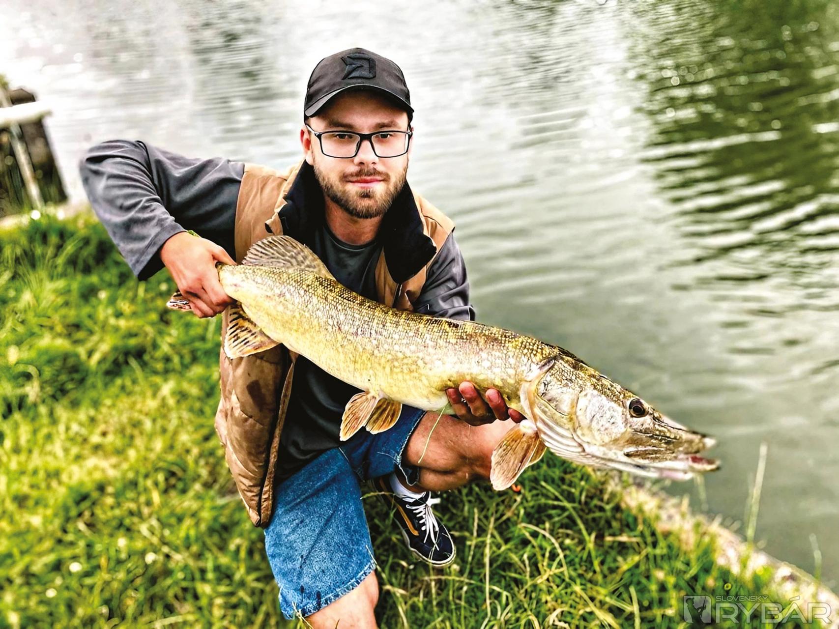 Štuka vo veľkosti 80 cm  je na holandských vodách bežným úlovkom.