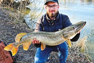 „Big Mama“ z Holandska, ktorá hrýzla ostošesť. Metrová šťuka chytená niekoľko dní po mojom prvom príchode.