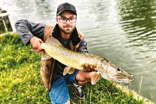 Štuka vo veľkosti 80 cm  je na holandských vodách bežným úlovkom.