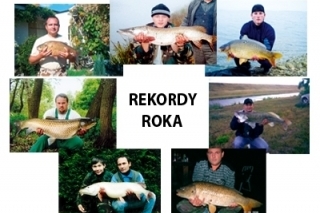 Rekordy roka