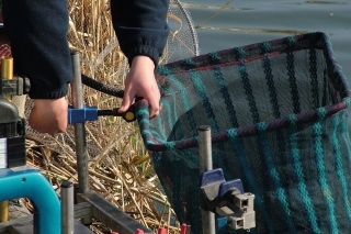 Sieťku na ryby nastavíme tak, aby nám ani náhodou neprekážala pri podoberaní úlovku.