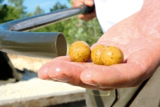 Danny plní kobru Eazi Stik maximálne 3 boilies.
