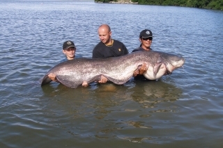 Gigant a la Pád 2