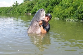 Gigant a la Pád 3