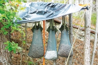 Boilies som sušil a potom močil v liquide, aby lepšie nasiakli.