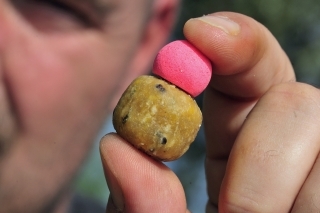 Teraz vezme potápavé boilies. Nástrahy vyzerajú spolu naozaj ako panáčik.
