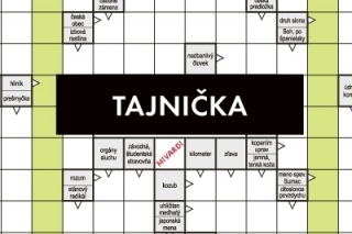 Tajnička