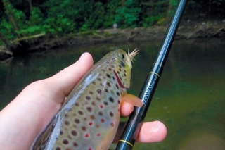 Tenkara - prečo nie? 6