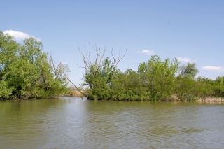 Prívlač na Tisza-tó 3