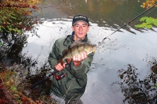 Nádherný začiatok dňa. Pruhovaných 38 centimetrov.