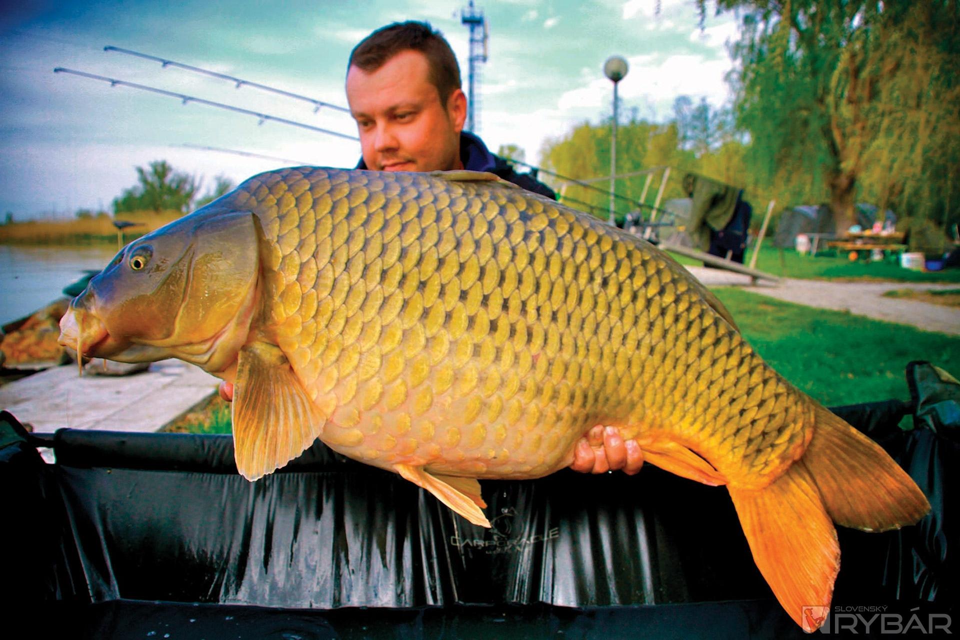 International Balaton Carp Cup 5