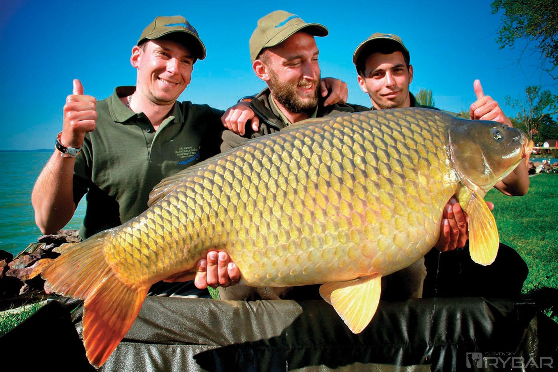 International Balaton Carp Cup 6