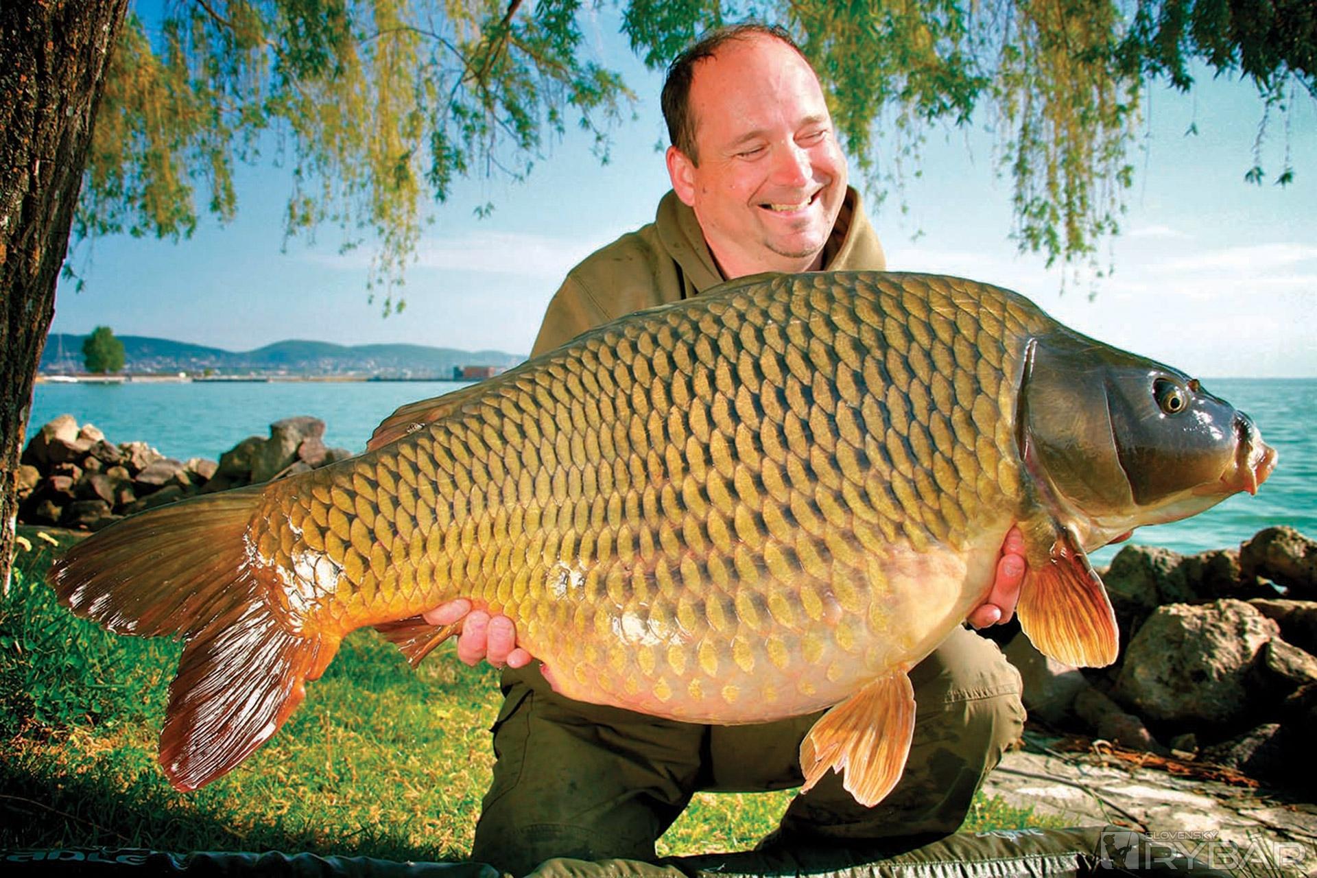 International Balaton Carp Cup 8