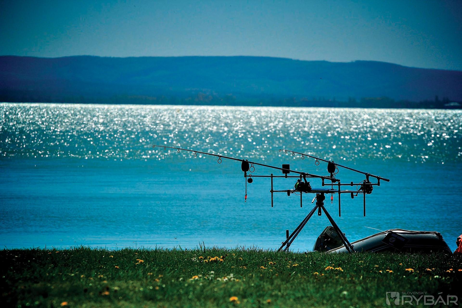 International Balaton Carp Cup 9