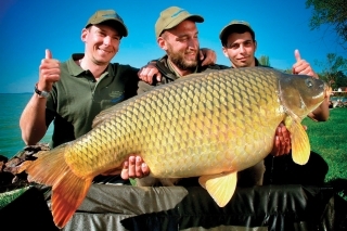 International Balaton Carp Cup 7