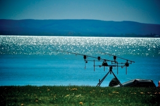 International Balaton Carp Cup 10