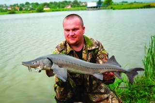 Feeder a veľké diaľky 5