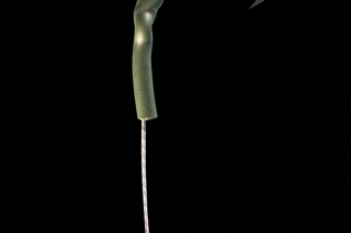 5. Pomocou kravského uzla priviažeme k hrubšiemu  fluorocarbónu. Mäkká časť montáže by mala mať maximálne 5 cm.