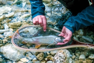 Červy sú vynikajúce aj na lipne. Nezabudnite na vyladenú zostavu a dobrú brzdu. Mne pomáha citivá brzda kolieska Hardy Ultralight DD.