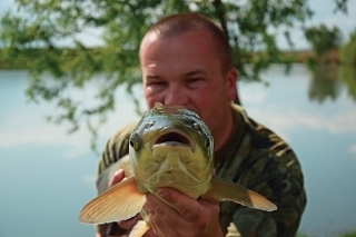 Zvedavé ryby 2