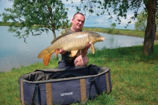 Zvedavé ryby 5