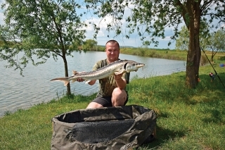 Zvedavé ryby 7
