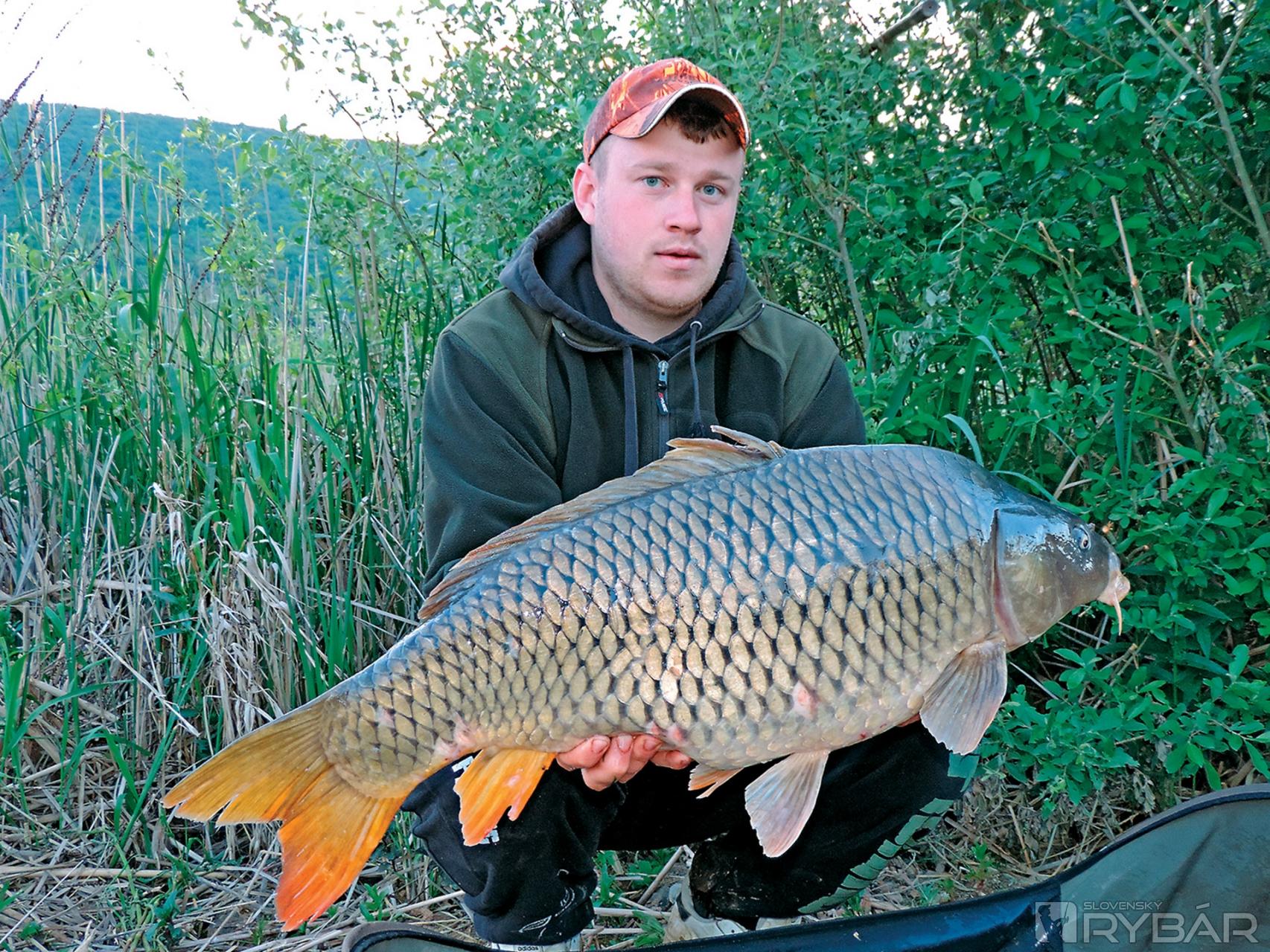 Najväčší kapor pretekov - 11,25 kg.