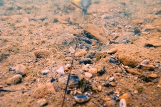 Tu môžete vidieť ako sa šnúrka vznáša nad dnom.