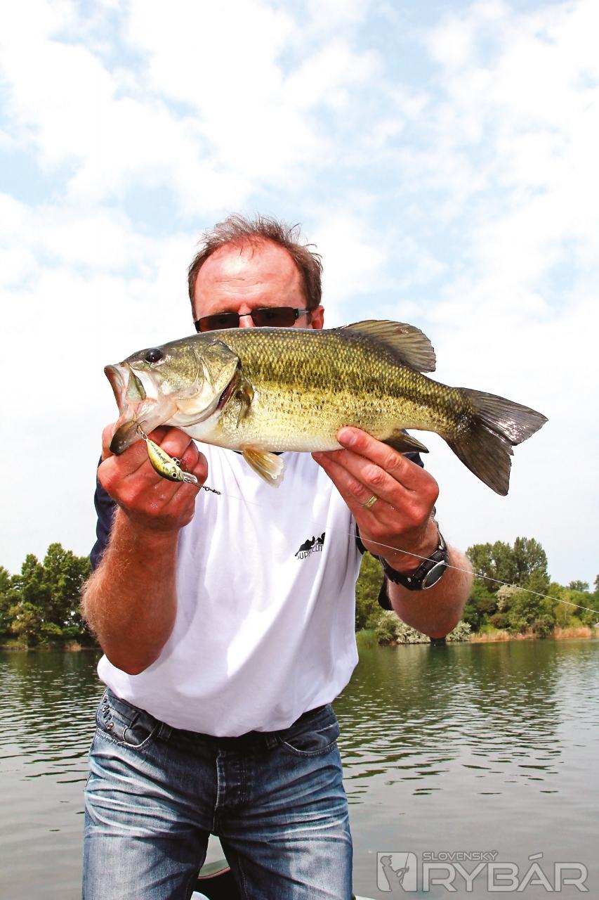 Ostračka /black bass/ je nádherná a bojovná ryba. Toto bola Robiho najväčšia.