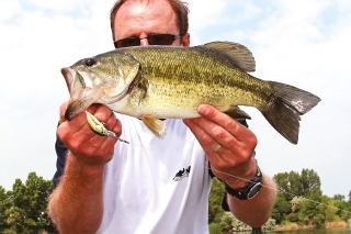 Ostračka /black bass/ je nádherná a bojovná ryba. Toto bola Robiho najväčšia.