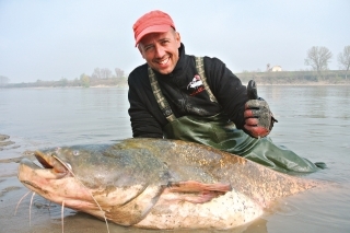 Tento sumec má pre nás s Tomášom veľký príbeh. Ryba zabrala večer
a pekne nás 30 minút povozila po rieke. Dĺžka iba 206 cm ! 
Bol to poriadny športovec.