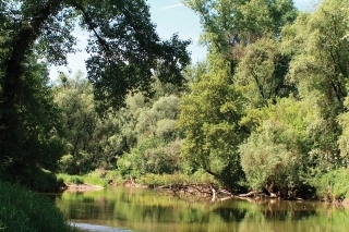 Putovanie za dravcami