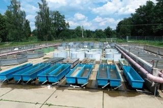 Časť experimentálneho rybárskeho pracoviska a pokusníctva vo Vodňanoch.