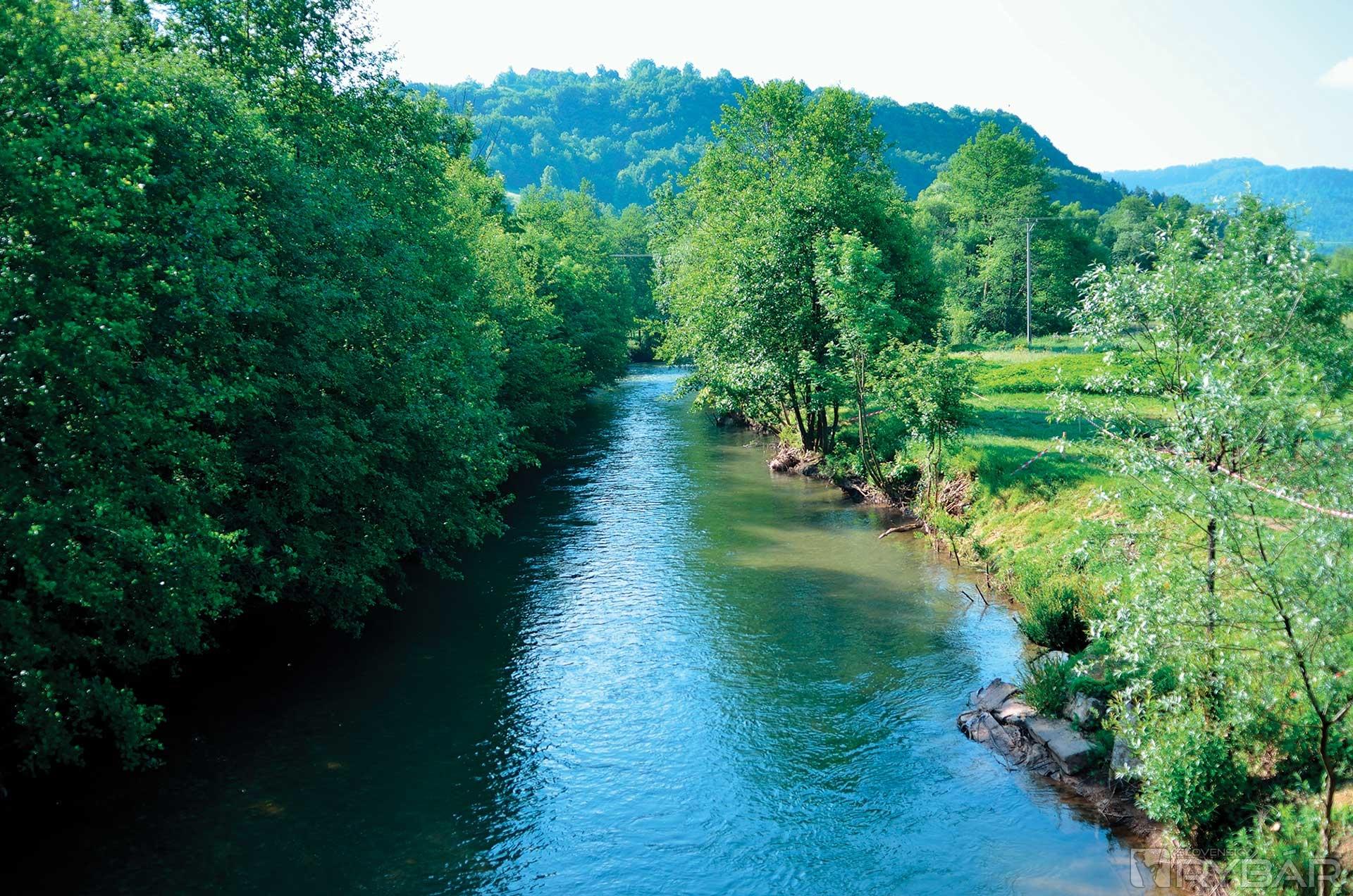 Dve zlaté medaily pre Slovensko 1