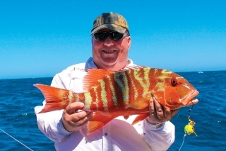 Chinamanfish - ryba Číňan.