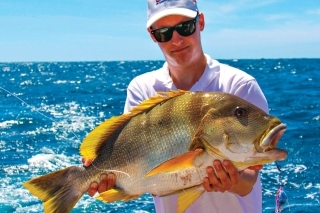 Ľudovo nazývaný Maori Snapper.