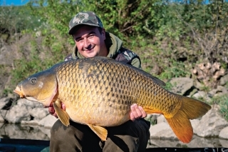 Obézna ikernačka, ktorá zabrala na 2 × 20 mm boilies na celostuženom nadväzci.