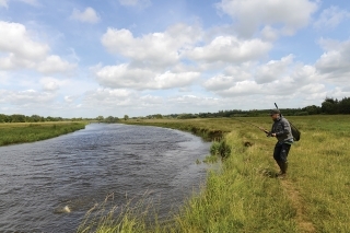 Zdolávanie lososa na jednej z najlepších lososých riek Skjern.