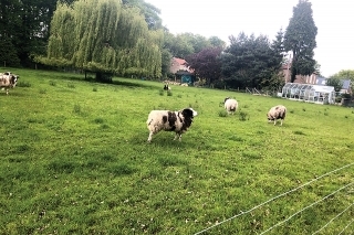 V okolí kanála nie je 
žiadna zástavba. 
Obkolesený je farmami 
rôzneho druhu.