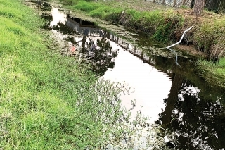 Teritórium na konci našich dvorov a záhrad, plné všetkých možných druhov rýb, korytnačiek, plazov.