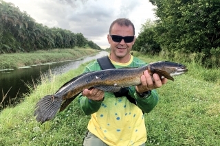 Jeden z väčších zberných kanálov... Veľkosť nasvedčuje, že je už posledný možný s výskytom hadohlavca, 
teplota vody už nevyhovuje.