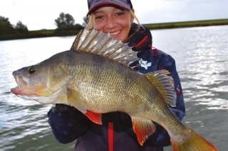 Netreba to vzdávať ani v zlom počasí 
a odmena sa dostaví. Fox Rage Zander Pro Shad 10 cm vo farbe Firetiger je ideálny pri takom počasí.