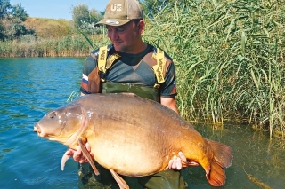 Krásne stavaný dospelý lysec ulovený na štrkovisku.
